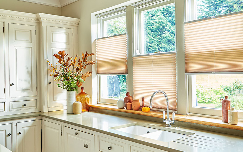 Pleated Blinds