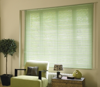 Pastel Green Window blind