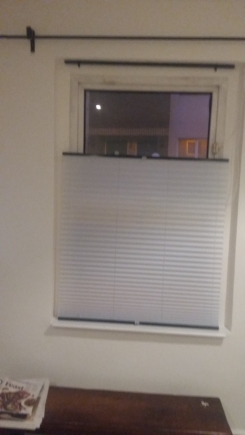 Top Down Bottom Up Pleated Dublin City Center Window blind