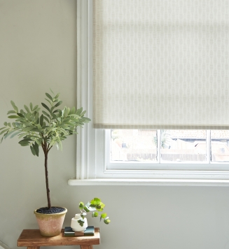 Kirby Gold 2  2022 Window blind