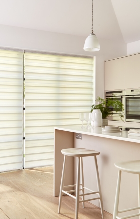 Dual Shade Window blind