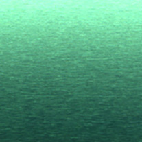 Everglades From 24 Euro 25mm slats only - Venetian Blinds