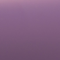 Wild Plum From 24 Euro 25mm Slat only - Venetian Blinds