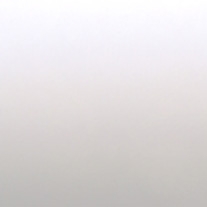 Sugar Pink From 24 Euro 25mm Slat only - Venetian Blinds