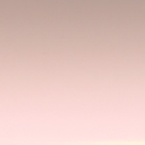Pink Blossom From 24 Euro 25mm Slat only - Venetian Blinds