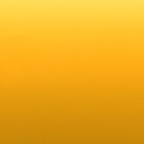 Indian Yellow From 24 Euro 25mm Slat only - Venetian Blinds