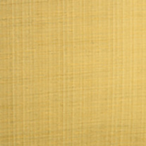 Artisan Chartreuse - 2022 - Roman Blinds