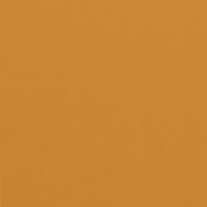 acacia_sweet_potato_blind