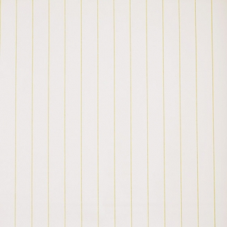AinsworthLime_blind
