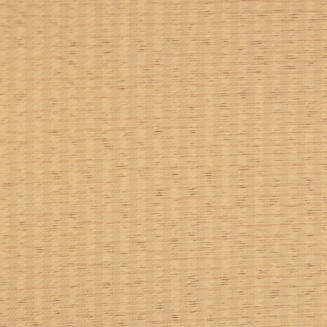 AmazonBeech_blind