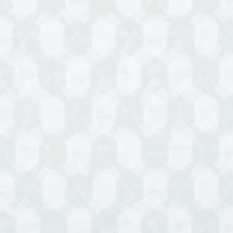 ARENA-ROLLER-RipleySteel_blind