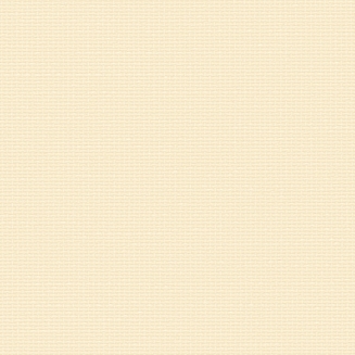 Solo Champagne - Roller Blinds