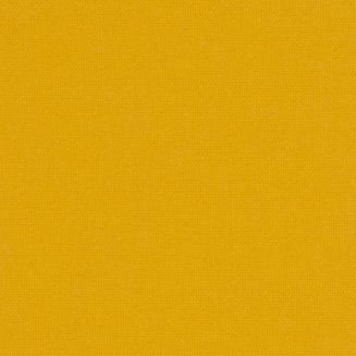 Polaris Mustard Yellow - New 2022 - Vertical Blinds