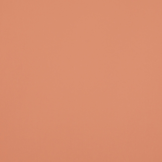 Polaris Cantaloupe - New 2022 - Roller Blinds