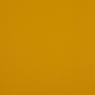 Polaris Mustard Yellow - New 2022 - Roller Blinds